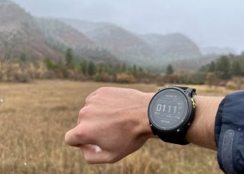 Who Are Garmin Users and How Do They Evaluate the Brand’s Wearable Devices?